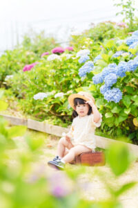 紫陽花撮影会の写真です