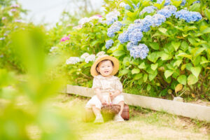 紫陽花撮影会の写真です