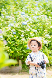 紫陽花撮影会の写真です