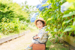紫陽花撮影会の写真です