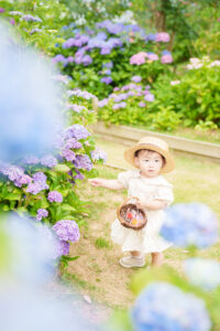紫陽花撮影会の写真です