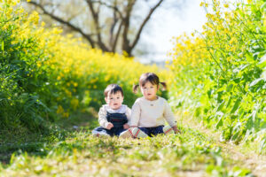 菜の花撮影会の写真です